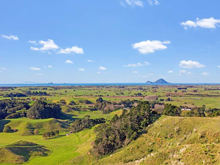 32 Rangipare Lane Matata_9