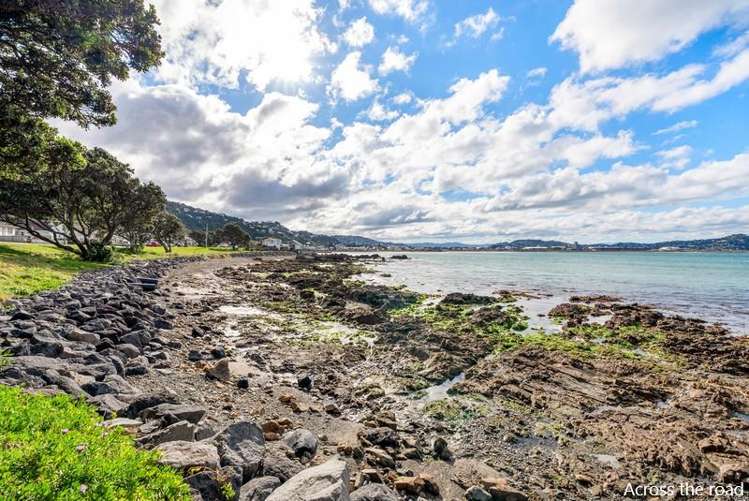 318 Queens Drive Lyall Bay_31