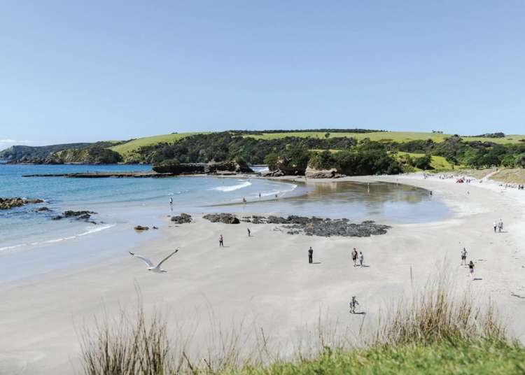 Lot 609 Warkworth Ridge Warkworth_7