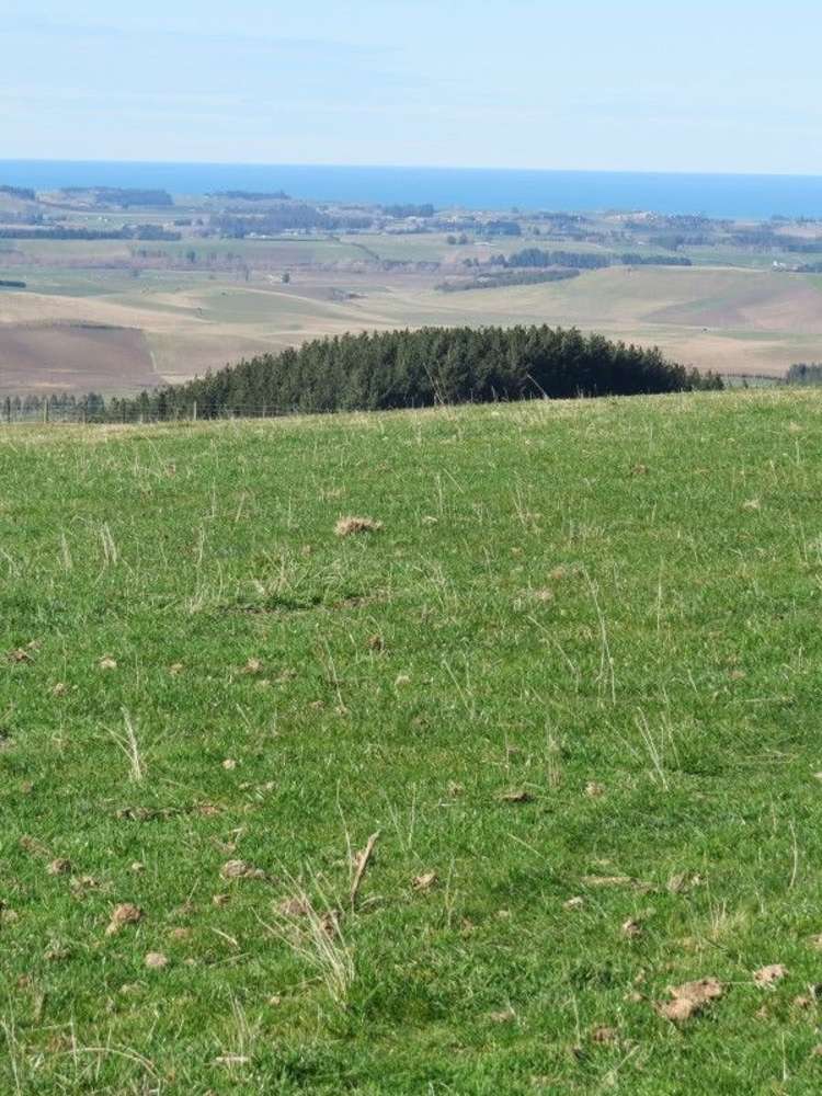 649 Kauru Hill Road Five Forks and Surrounds_19