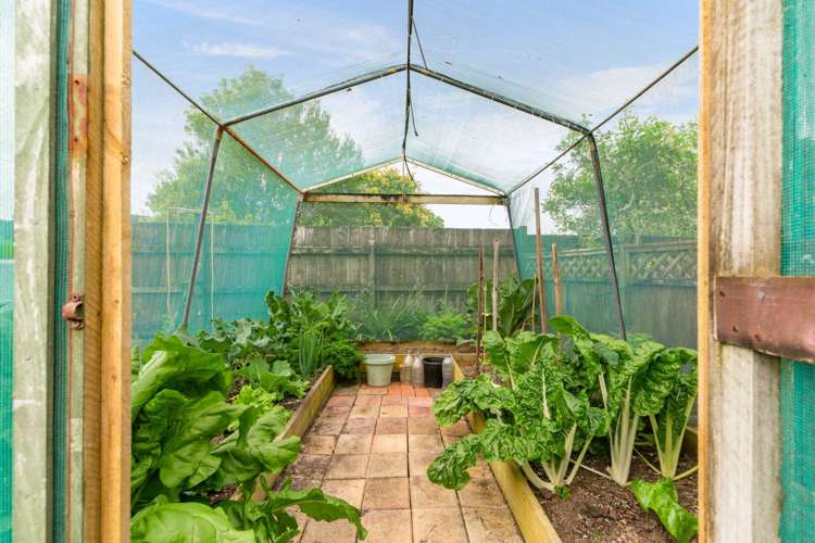 16 Graham Street One Tree Point_16