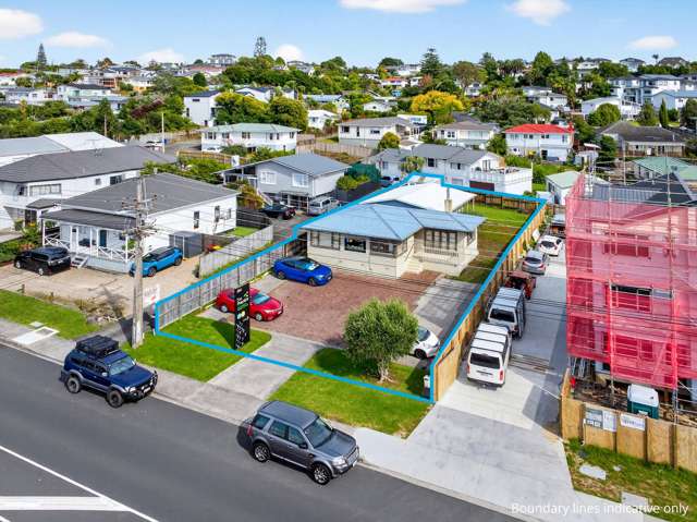 Wairau calls owner-occupiers, investors, developers