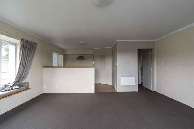 4/2 Ruakiwi Road Hamilton Lake_2