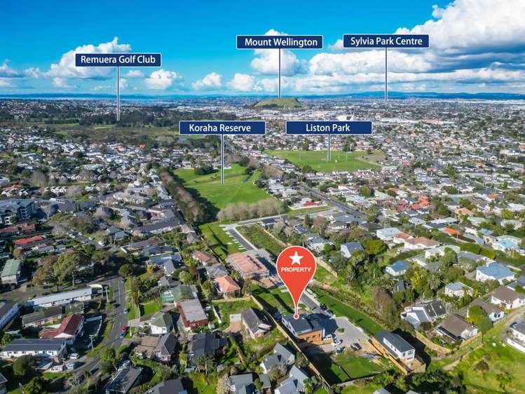 54 Garden View Rise Remuera_17