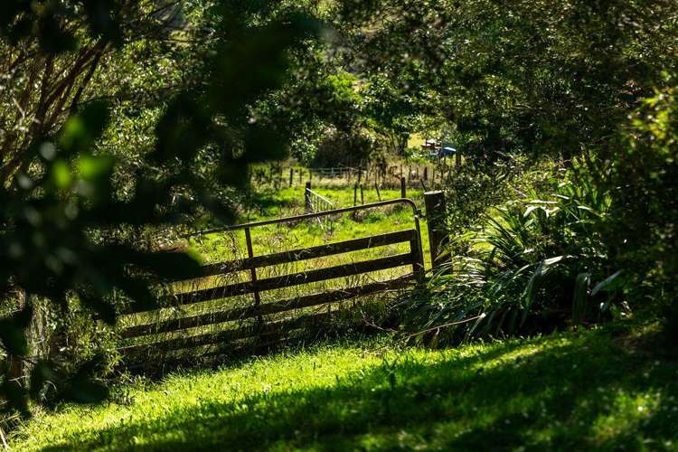 121 Bulltown Road Waihi_57