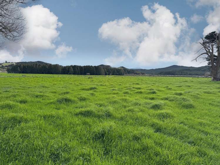 981 Hoanga Road Dargaville Surrounds_18