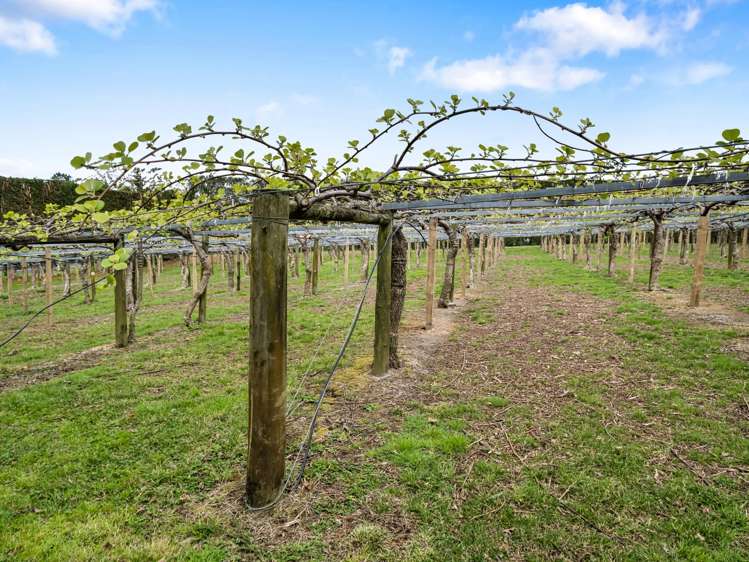 863 State Highway 2 Tanners Point_9