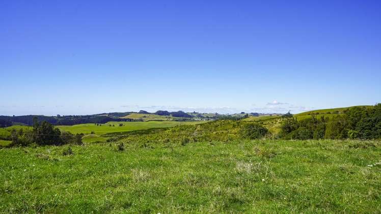 1158a Waihi-Whangamata Road Waihi_10