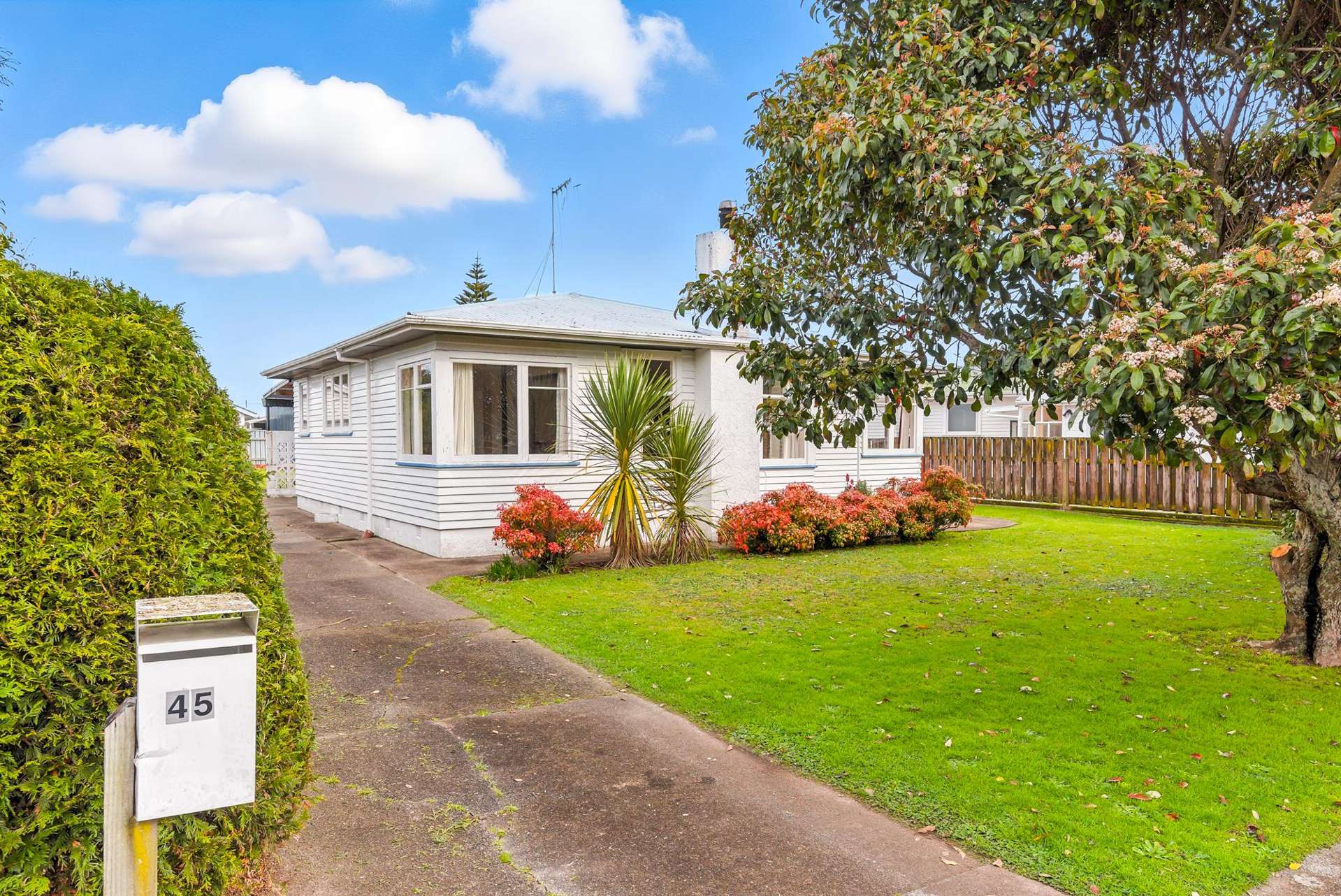 45 Duke Street Levin_0