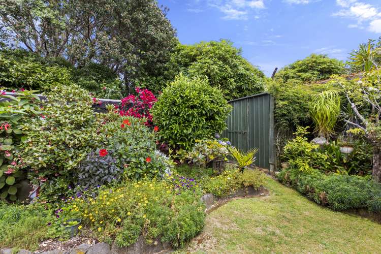 10 Hursthouse Street Vogeltown_28