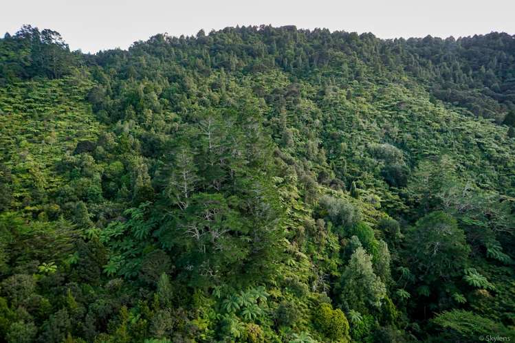 26 Dashper Drive Warkworth_30