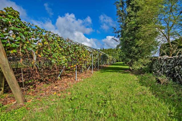 48 Austin Road Maunu_3