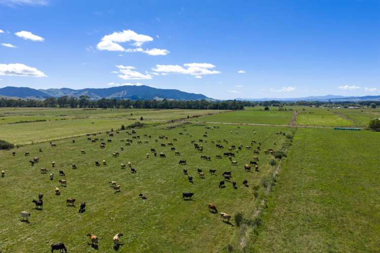 331 Kneebone Road Orini_29