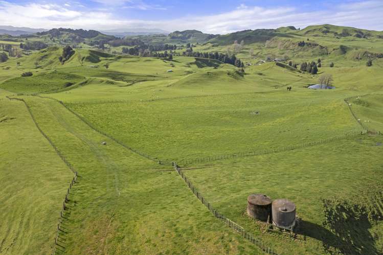 Mangatea Road Te Kuiti_9