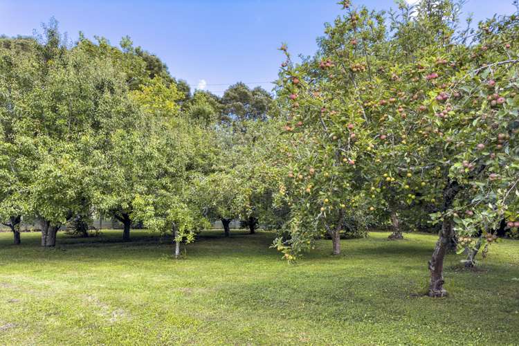 39 Sunnyside Road Coatesville_27