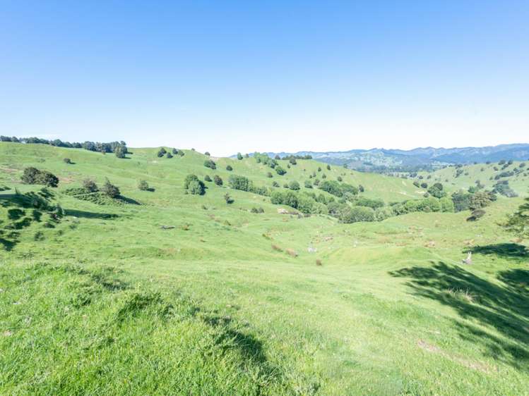 184 Lairdvale Road Taumarunui_20