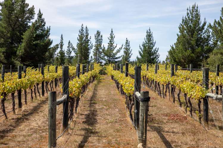 120 Hillview Road Alexandra_40