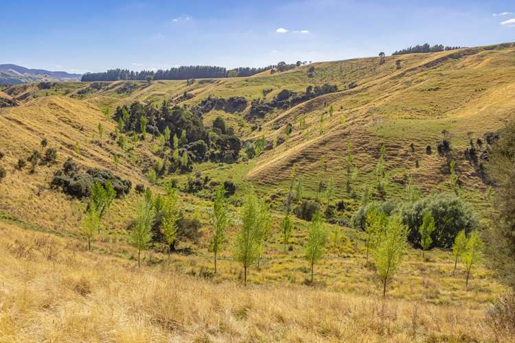 219 Te Kanuka Road Masterton_4