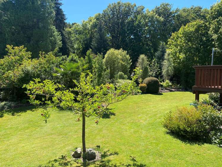 16 Robinson Street Cheviot_22