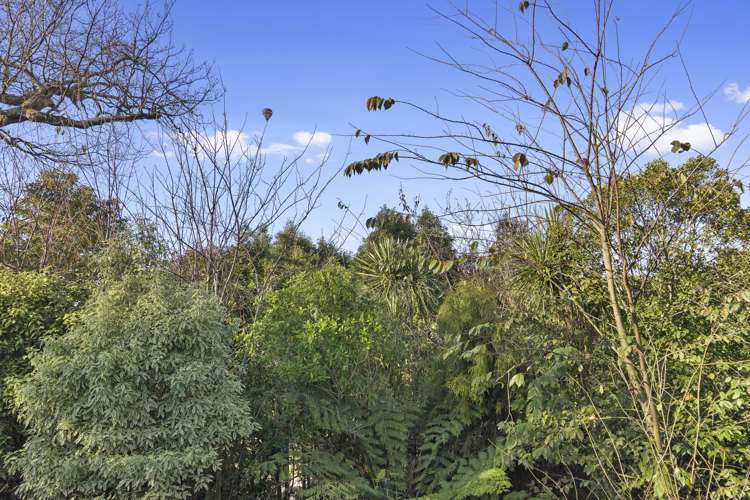 13 Pascal Place Flagstaff_17