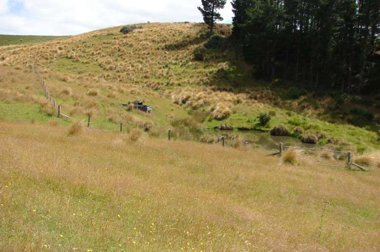 182 Beacon Hill Road Wairuna_15