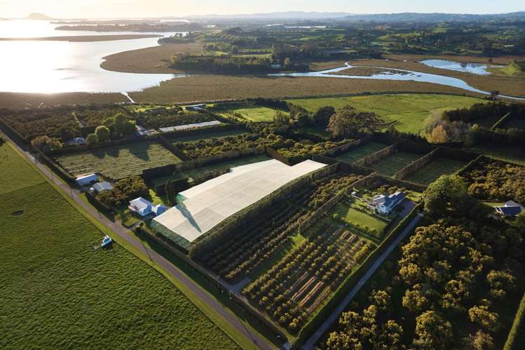 46 Prestidge Road Aongatete_33