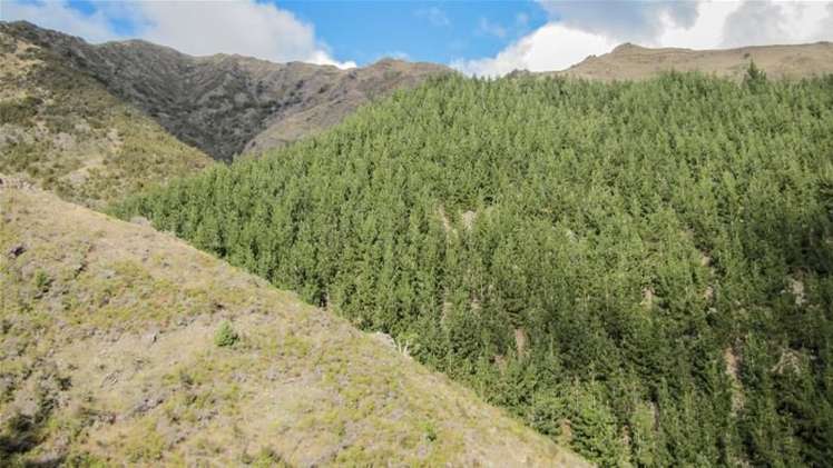 1234 Leatham Road Wairau Valley_0