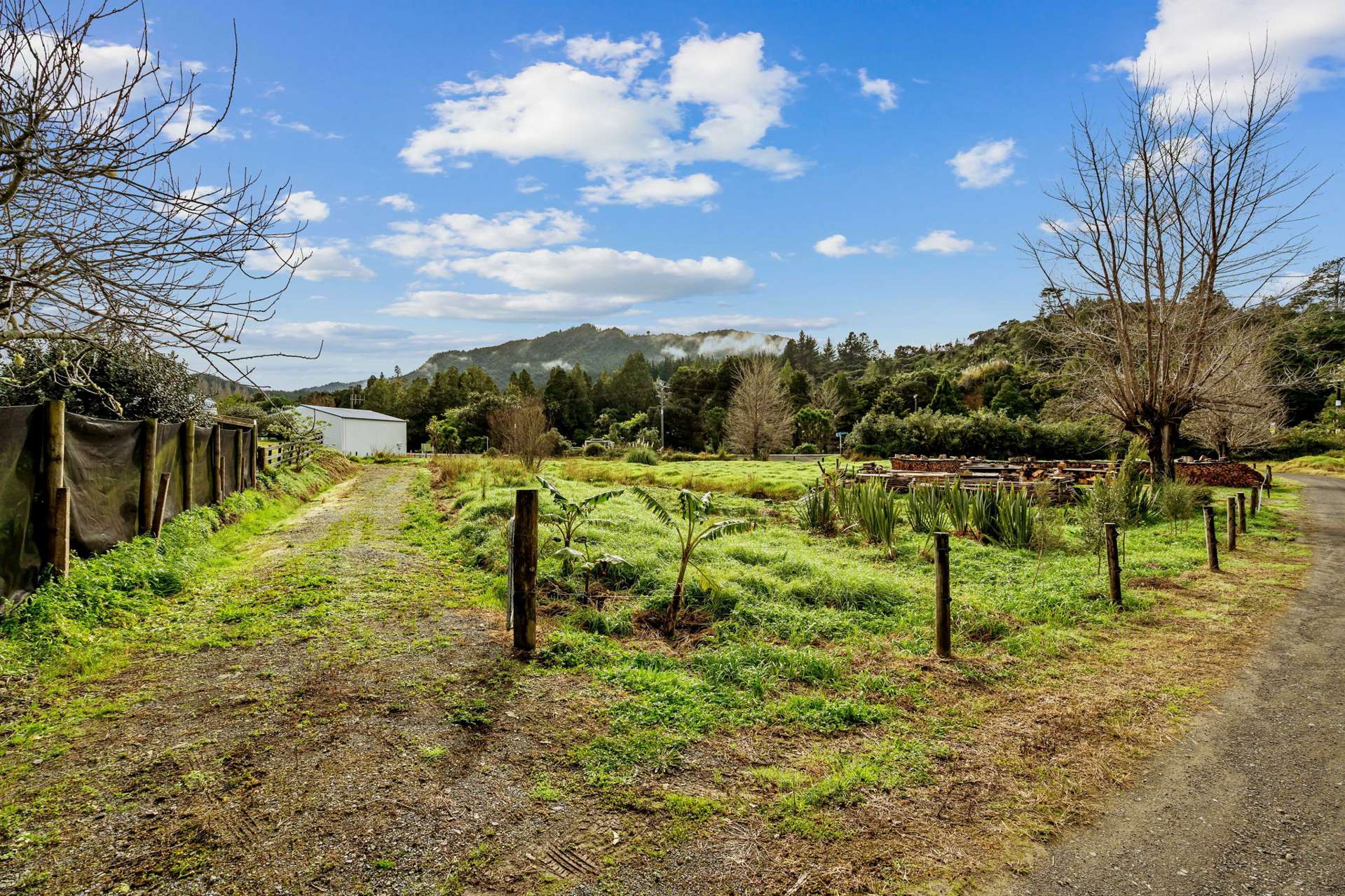 8 Teachers Road Broadwood_0