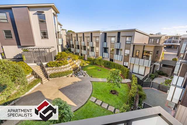 50 Harold Street Mount Eden_2