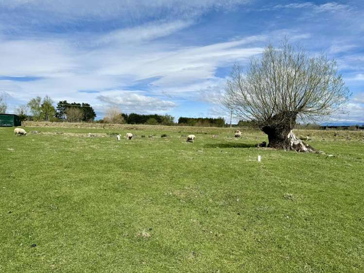 Bridge Street Ongaonga_4