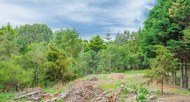 84 Te Hapua Road Te Horo_2