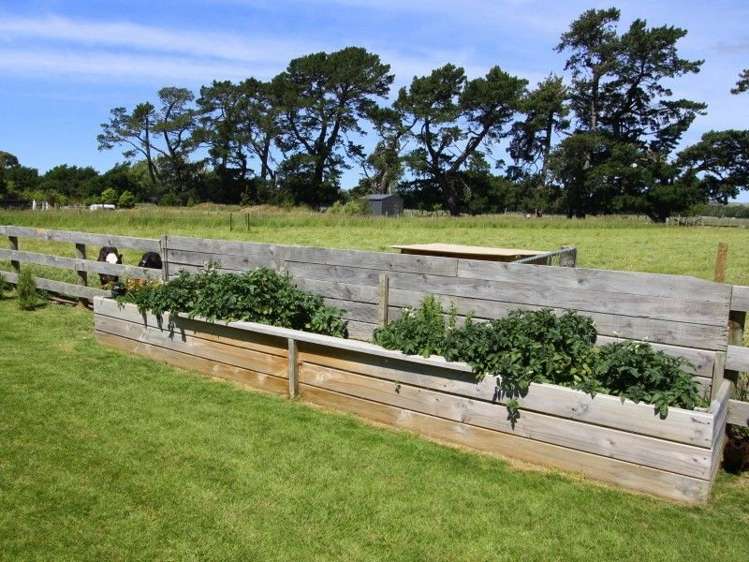 55 Welch Road Opaki_21