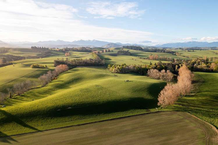 Rowallan Road Darfield_2