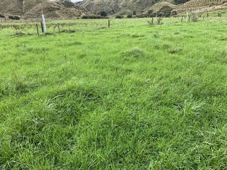 138 Quarry Road Stratford_19