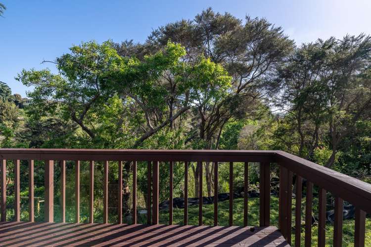 6 Main Road Raglan_11