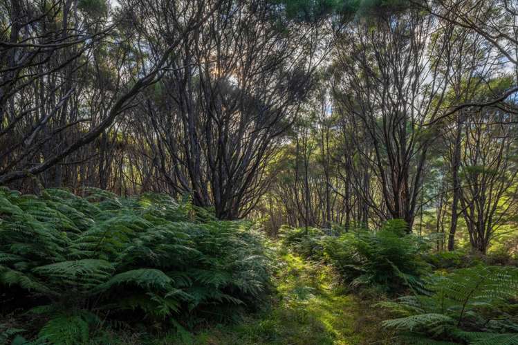 4710 Kenepuru Road Marlborough Sounds_42