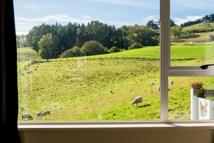 61 Elwyn Crescent Green Island_18