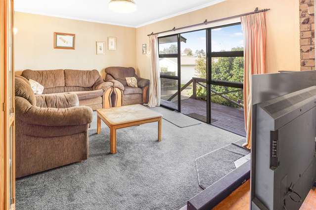 21 Williams Avenue Morrinsville_3