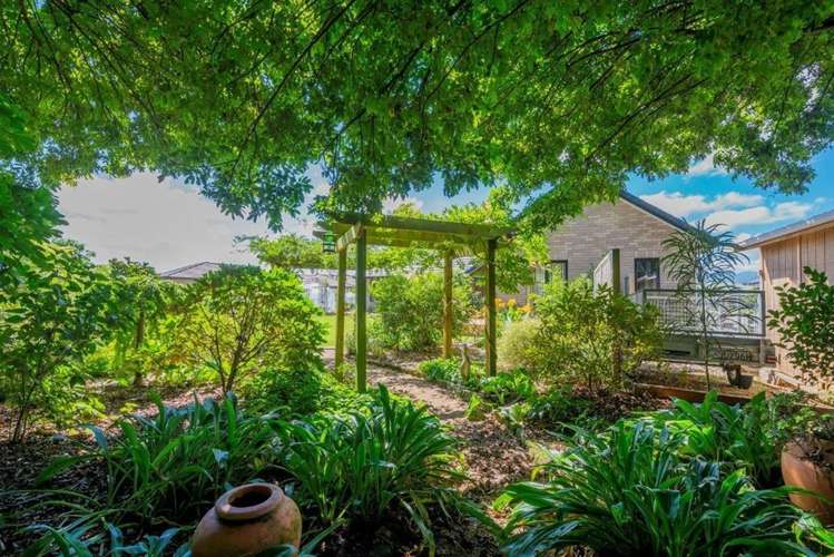 8 Kilsby Place Levin_8