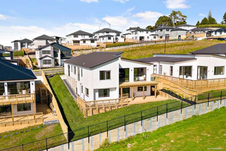 10 Kauri Gum Rise Swanson_20