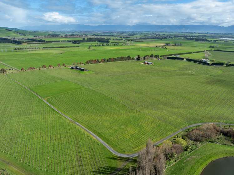 Lot 3 Willow Lane Martinborough_2