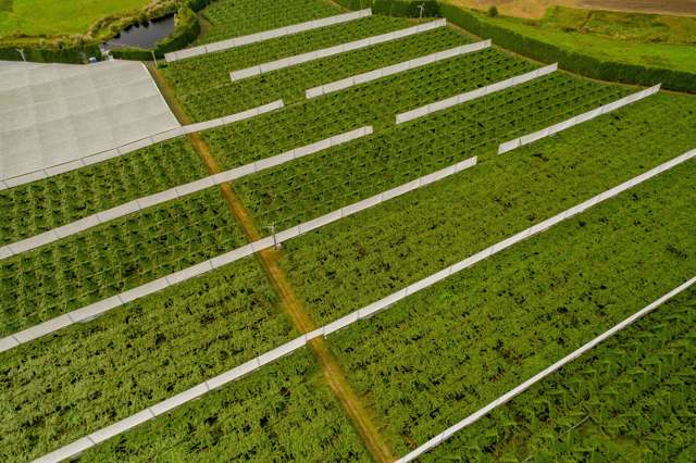 472 Old Coach Road Paengaroa_3