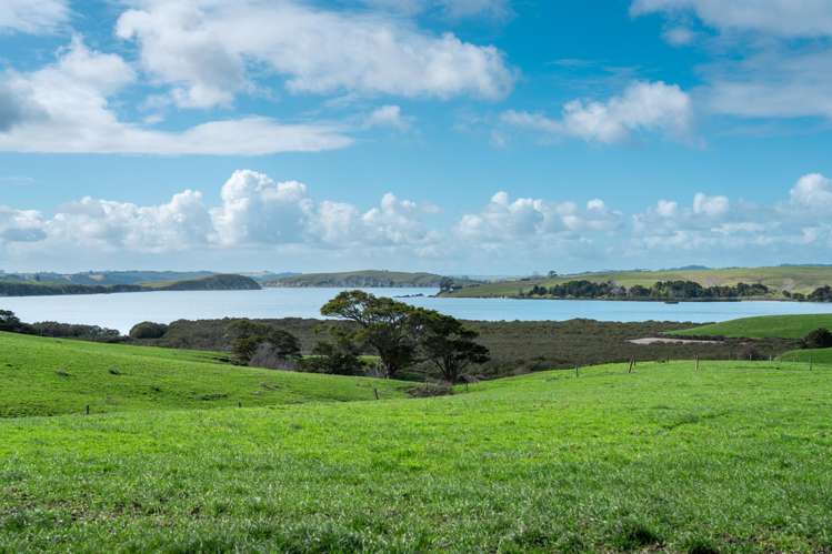 450 Neems Road Matakohe_13