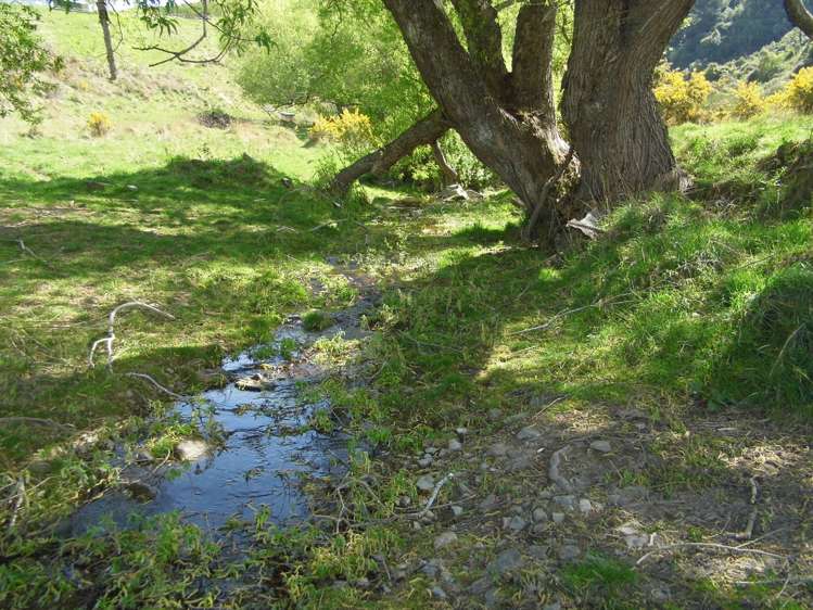 350 Kowhatu Road Waihaorunga_15