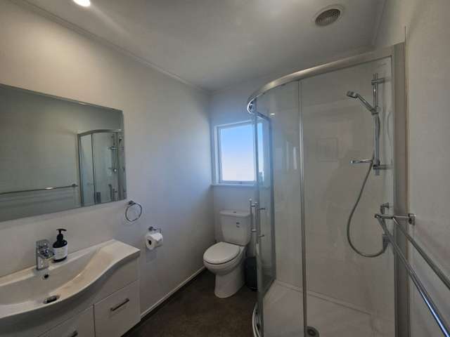 46 Pitau Road 11229_3