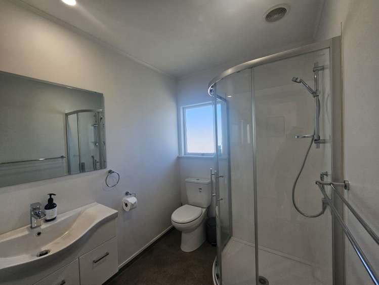 46 Pitau Road 11229_3