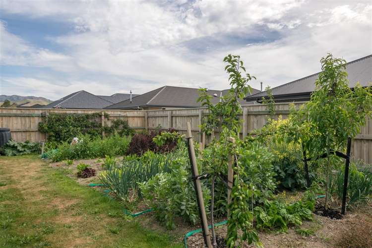 210 Taylor Pass Road Witherlea_19