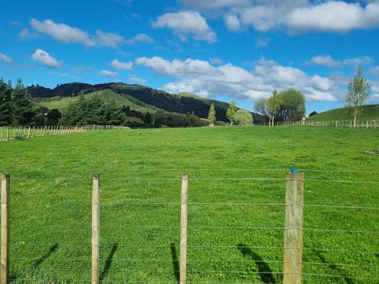 3345A Weber Road Dannevirke_27