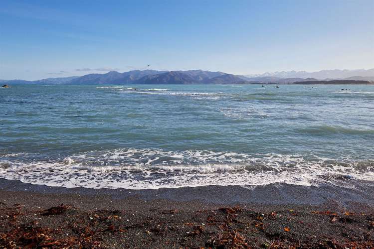 4 Moa Road Kaikoura_19