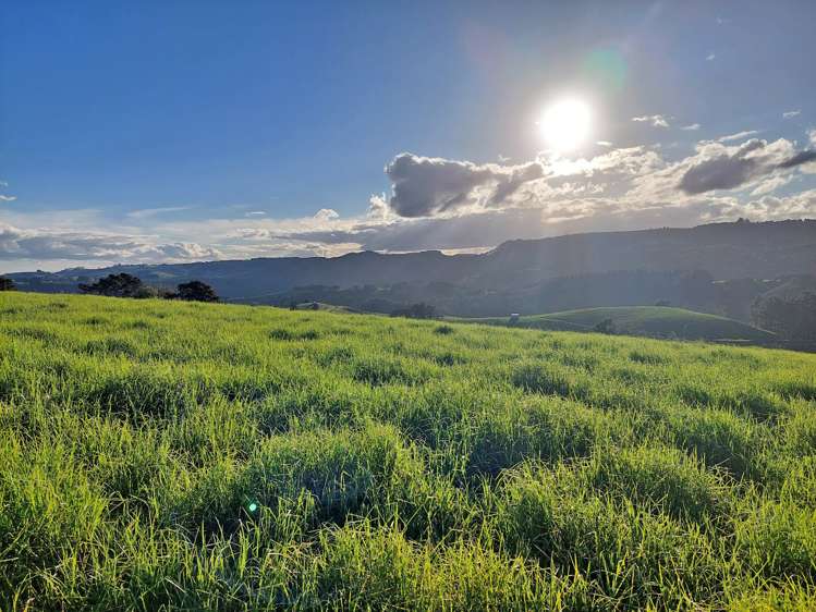 32 Hay Road Hukerenui and Surrounds_25